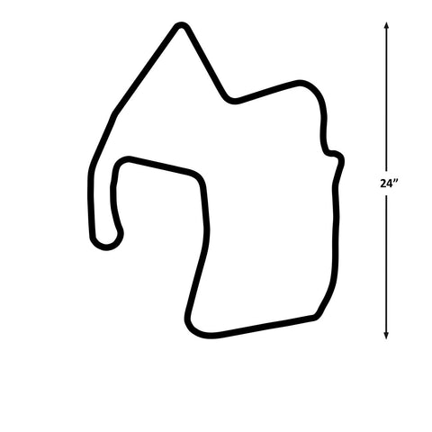 Laguna Seca - Moto GP