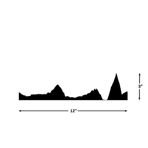Leadville Elevation
